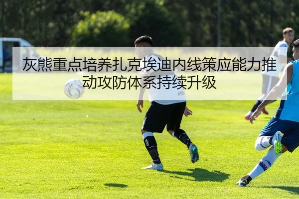 灰熊重点培养扎克埃迪内线策应能力推动攻防体系持续升级